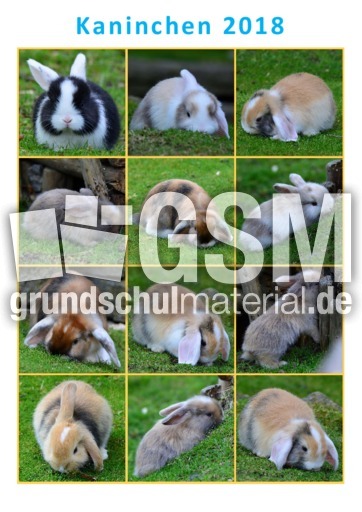 Kaninchenkalender_2018_b.pdf